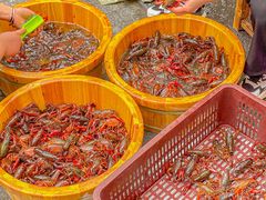 -可可大虾武汉土菜大排档(万松园1店)