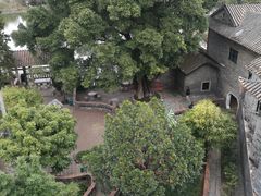 -东莞市可园博物馆