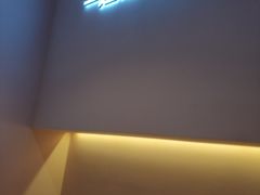 -狐狸和向日葵(北京路店)