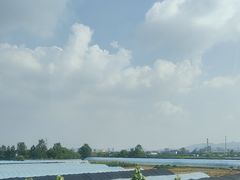 -涂山风景区