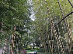 -抚仙湖万达文华酒店