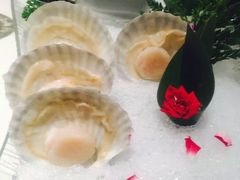 -海底捞火锅(龙岗星河COCO Park店)