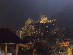 -东江渔村·古典园林·30年粤菜老字号(太和店)