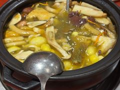 -菌之家·专业纯野生菌火锅·特色炒菌