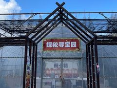 -前小桔亲子创意农场·草莓采摘·露营烧烤