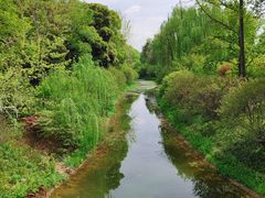 -陈麻婆豆腐(旗舰店)
