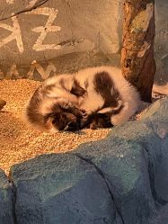 -Zoolung Zoolung动物主题公园(海信广场店)