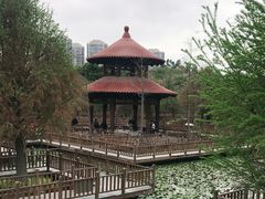 -五缘湾湿地公园