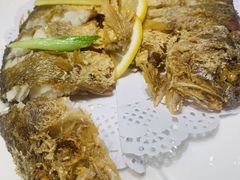 -骏莱海鲜鱼港(五角场店)