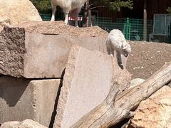 -大青山野生动物园