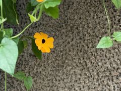 -赵小姐的店(鼓浪屿三友店)