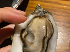-Osteria Garden 生蚝花园餐厅(原进贤路店)