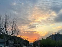 -同济大学(嘉定校区)