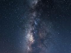 鲜肉笋丁烧卖-白玉兰传统小吃