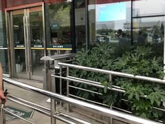 -上海交通大学医学院苏州九龙医院