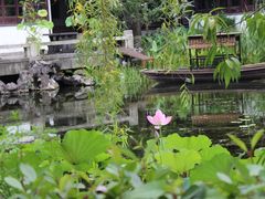 -东山雕花楼
