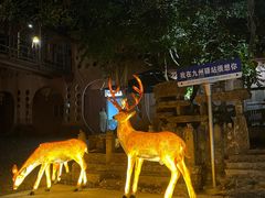 -天门沟九州驿站树上汤泉