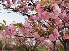 -南京航空航天大学(将军路校区)