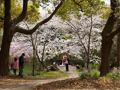 -共青国家森林公园-售票处