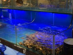 水产区-喜庭海鲜自助(来福士店)