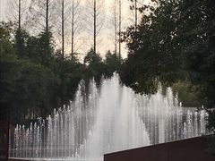 -上海市龙华烈士陵园