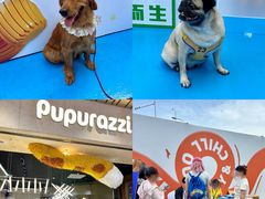 -帕帕拉兹宠物(亚洲旗舰店)