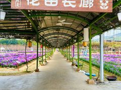 -盈香心动乐园