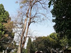 -桂林独秀峰王城景区