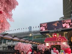 -海港城