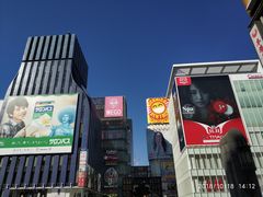 景观位-蟹道乐(道顿堀本店)