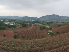 -帐篷客·溪龙茶谷度假酒店