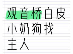 -观音桥步行街