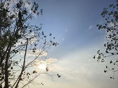 -杜甫江阁