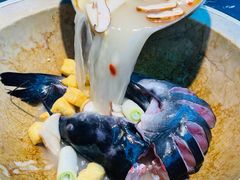 -云海肴云南菜·蒸汽石锅鱼(青岛万象城店)