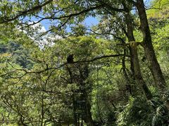 -西岭雪山大飞水景区