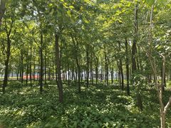 -东北林业大学-俭德园食堂