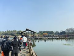 -溱湖国家湿地公园