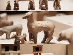 -常州博物馆