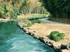 -杭州植物园