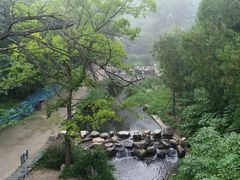 -白水寺森林公园