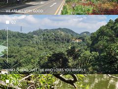 -深圳仙湖植物园