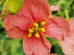 -中国天府农业博览园