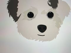 -Apple零售店(新街口店)