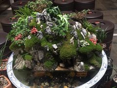-普洱茶府(博乐广场店)