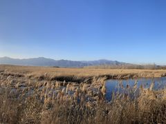 -野鸭湖国家湿地公园