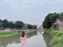 -坪山湿地公园