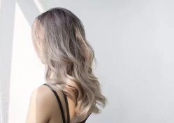 -T8 SALON