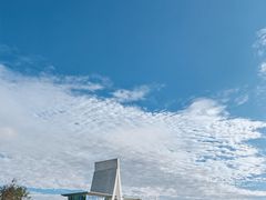 -空港花田景区