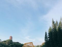 -深圳仙湖植物园