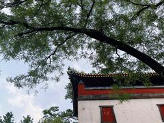 -普陀宗乘之庙